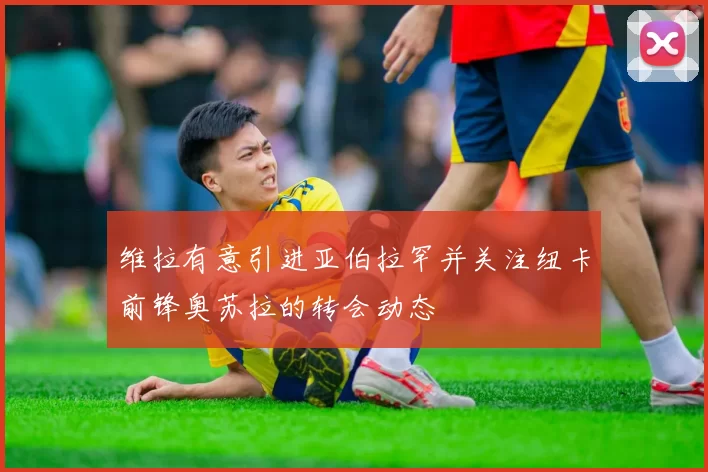 维拉有意引进亚伯拉罕并关注纽卡前锋奥苏拉的转会动态