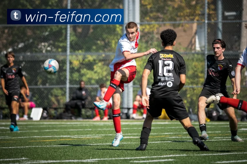 非凡娱乐平台生态图