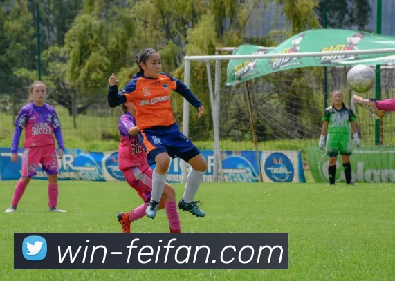 非凡娱乐APP 封面图